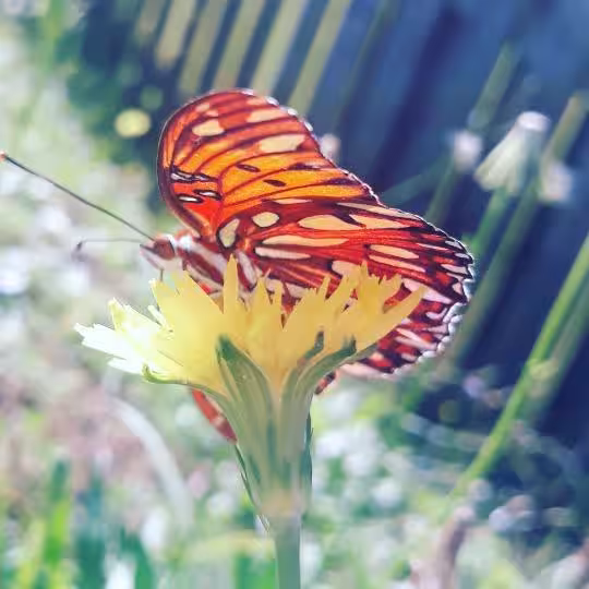 SpiderGirlDowntown - Photo 4