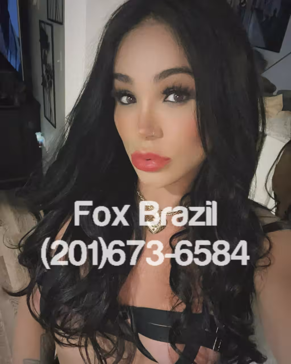 TS Fox Brazil - Photo 6