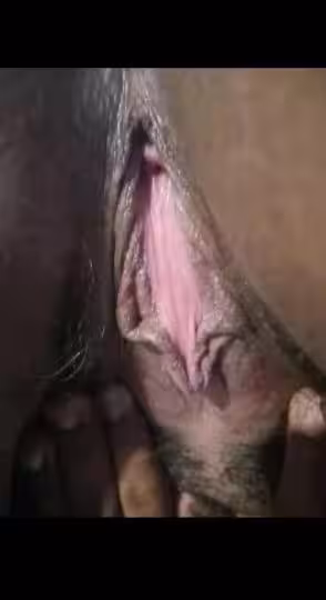 Escort Bianca (872) 255-4279 in Elk Grove Village, IL