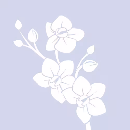 Escort/Massage/S&M SerenityXX and Selena25 (972) 421-8871 in Little Rock, AR