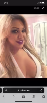 TS Kelly / Ashley / Amber - Photo 5