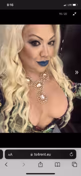 TS Kelly / Ashley / Amber - Photo 2