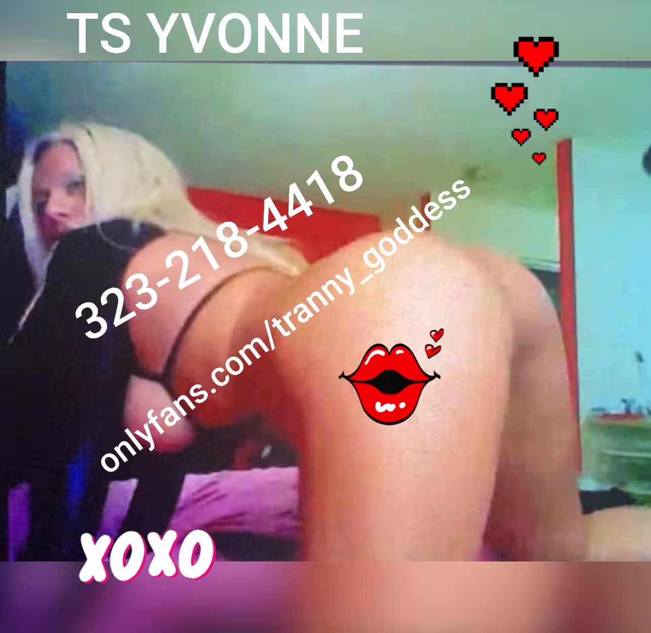 TS Alexa / Melina / Nirvana/ Yvonne - Photo 3