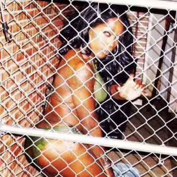 TS Jessica Rabbit / Ladonna Foxx - Photo 1