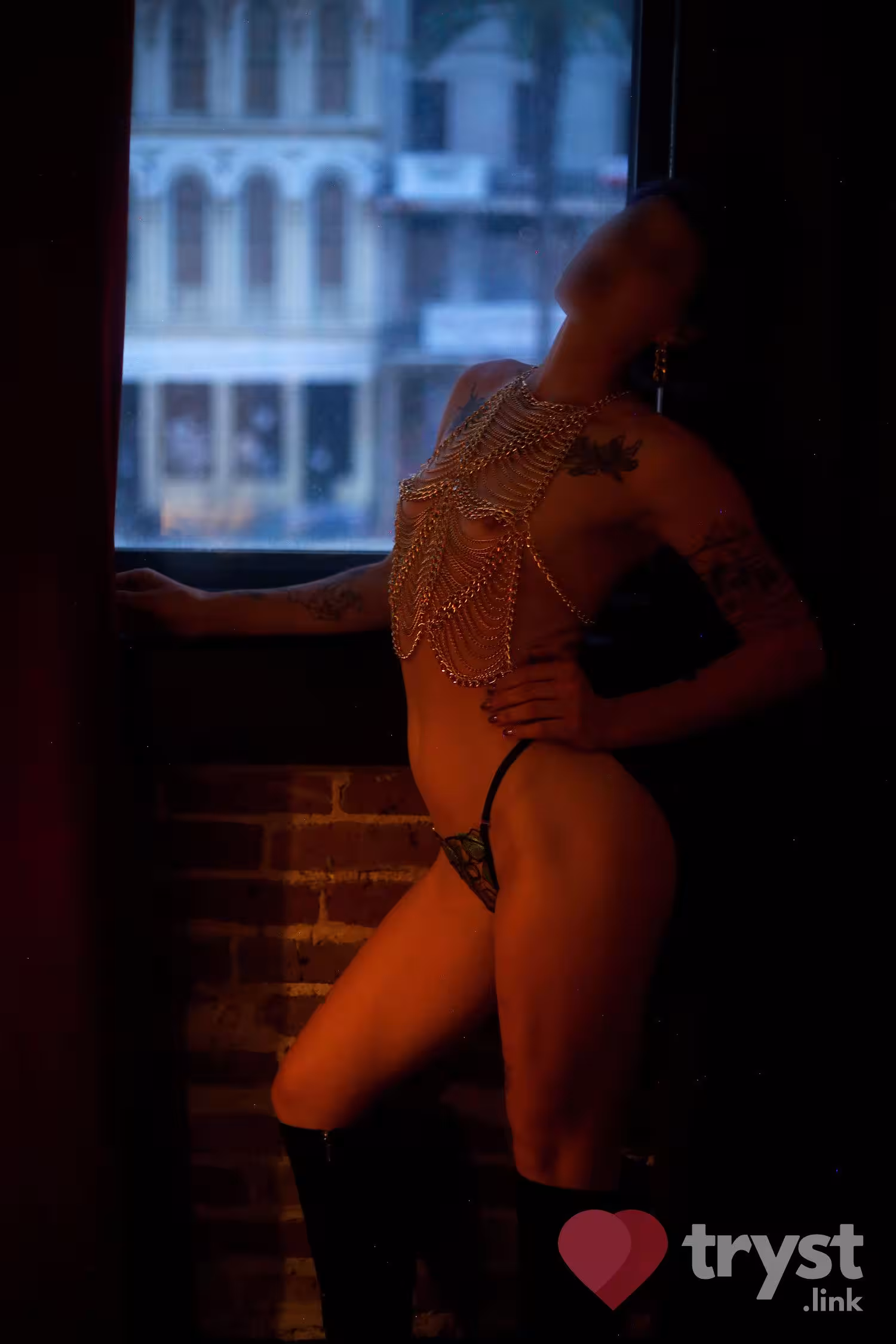 Lavender Rose - Photo 5