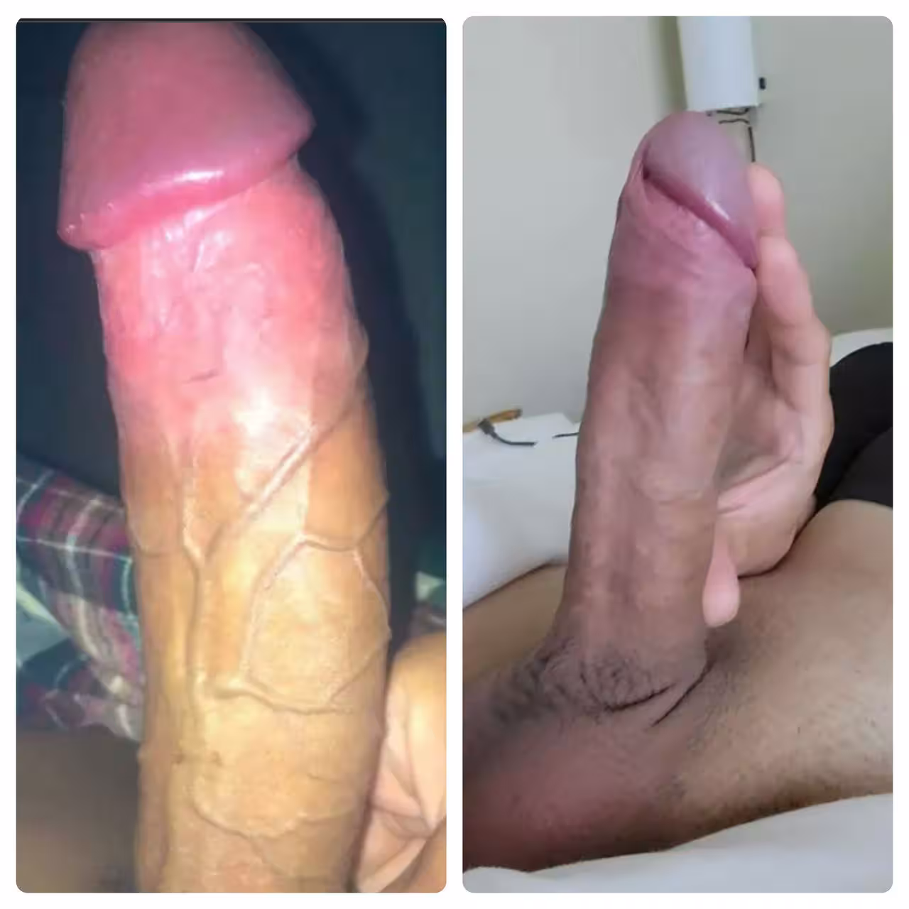 TS Angelina / Angelika / Jennifer / Jenny - Photo 6